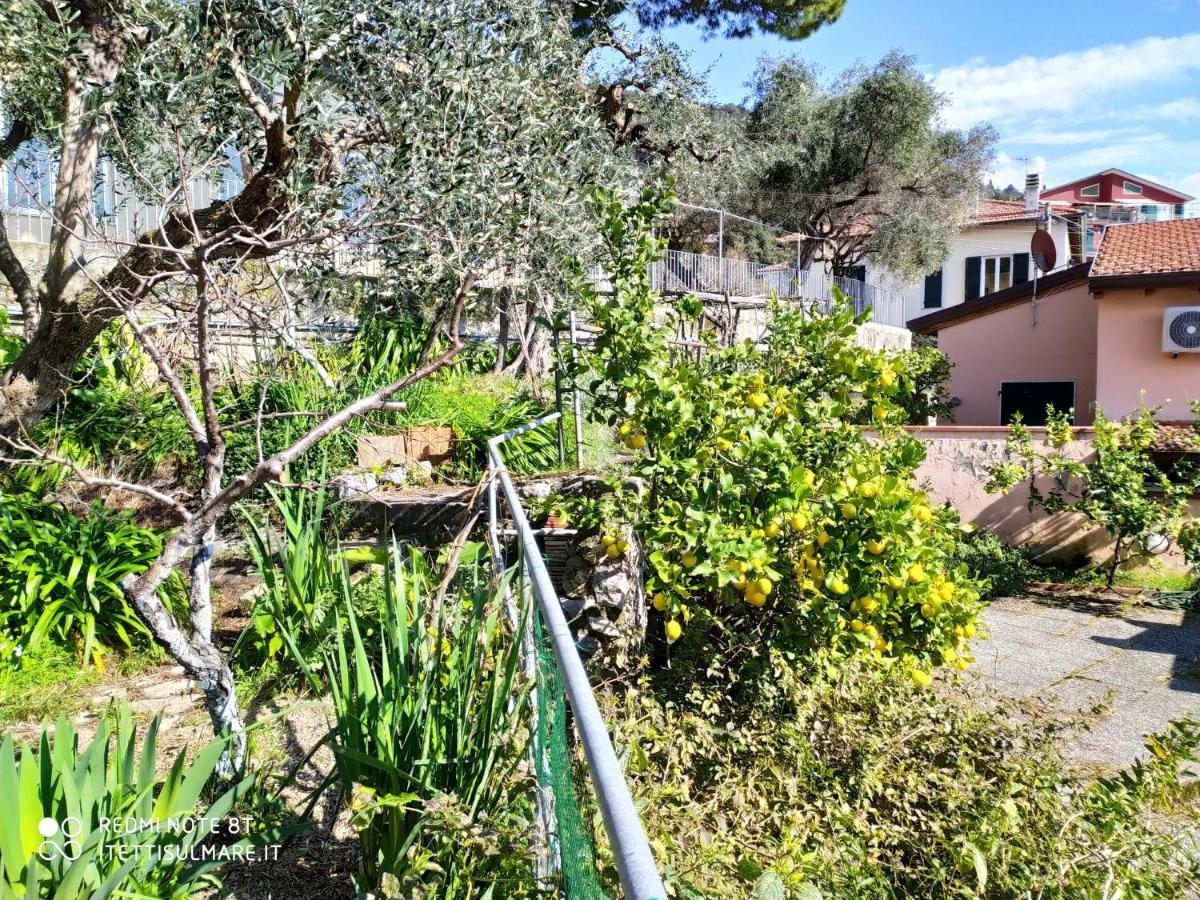 Appartamento